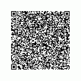 vCard 73815133811