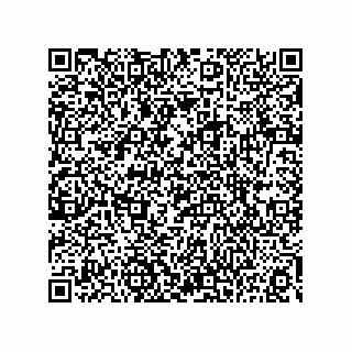 vCard 73815133812