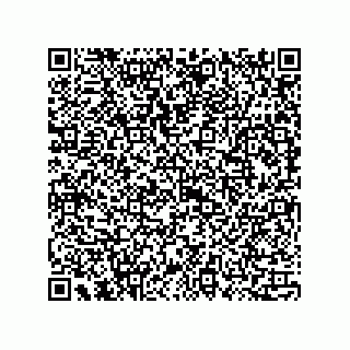 vCard 73815133816