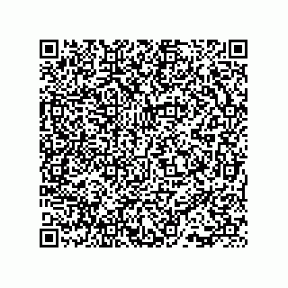 vCard 73815133817