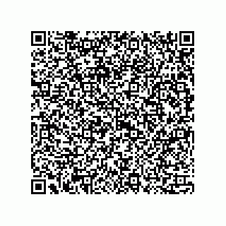 vCard 73815133819