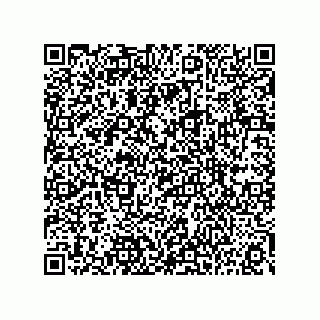 vCard 73815133820