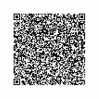 vCard 73815133821