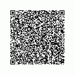 vCard 73815133822