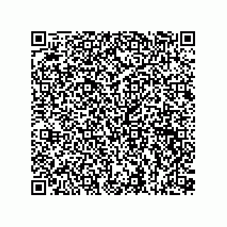 vCard 73815133825