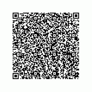 vCard 73815133828