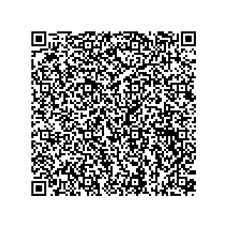 vCard 73815133829