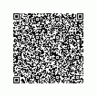 vCard 73815133838