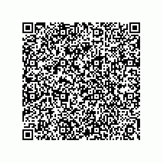 vCard 73815133842