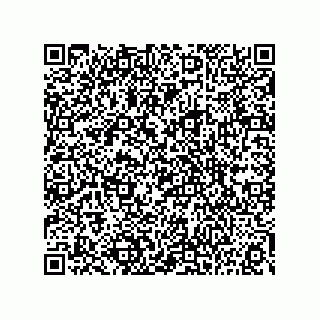 vCard 73815133847