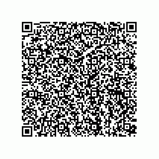 vCard 73815133848
