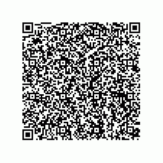 vCard 73815133849