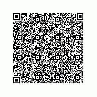 vCard 73815133850