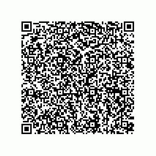 vCard 73815133853