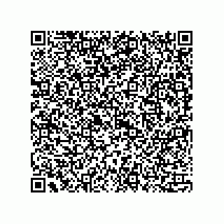 vCard 73815133855
