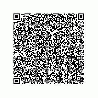 vCard 73815133856