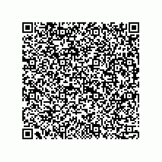 vCard 73815133861