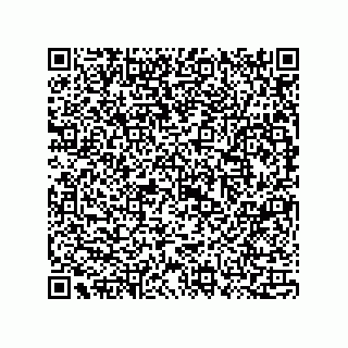 vCard 73815133871