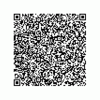 vCard 73815133873