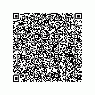 vCard 73815133875