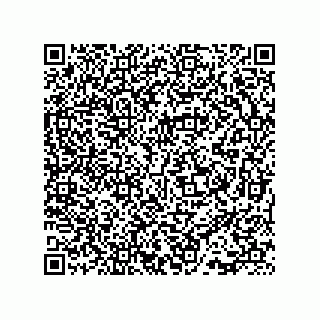 vCard 73815133877