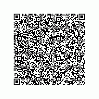 vCard 73815133878
