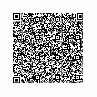 vCard 73815133881