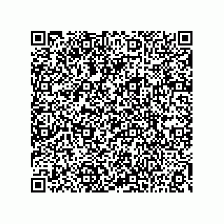 vCard 73815133882