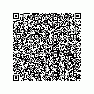 vCard 73815133884