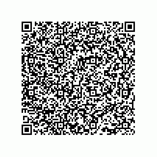 vCard 73815133885