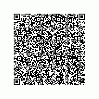 vCard 73815133886
