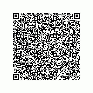 vCard 73815133887