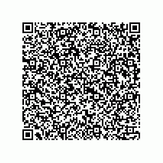 vCard 73815133888