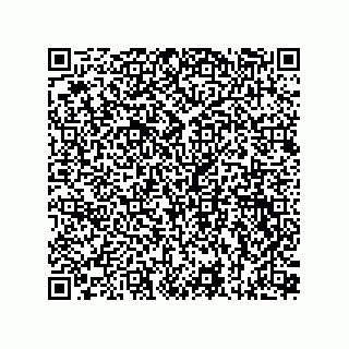 vCard 73815133889