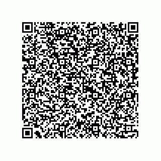 vCard 73815133894