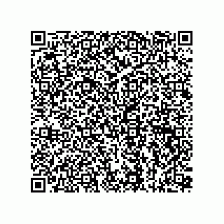 vCard 73815133895