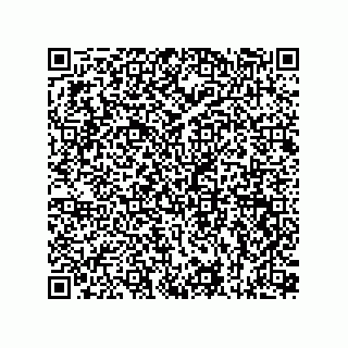 vCard 73815133897