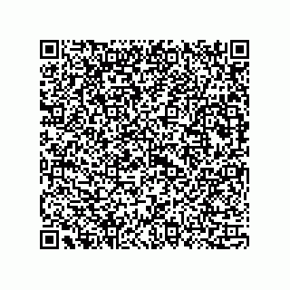 vCard 73815133902