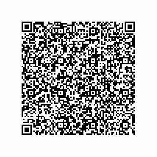 vCard 73815133905