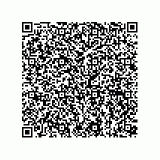 vCard 73815133910