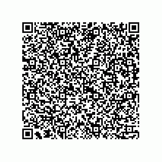 vCard 73815133913