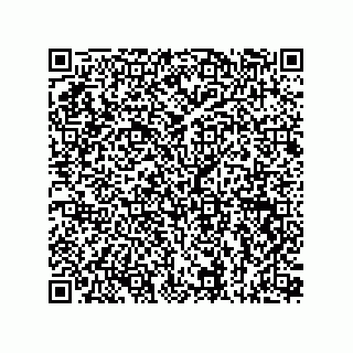 vCard 73815133917