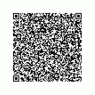 vCard 73815133921