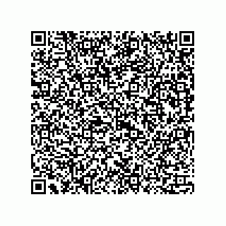 vCard 73815133924