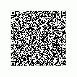 vCard 73815133929