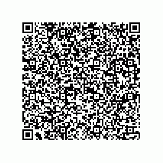 vCard 73815133931