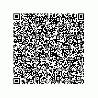 vCard 73815133933