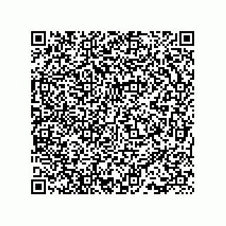 vCard 73815133941