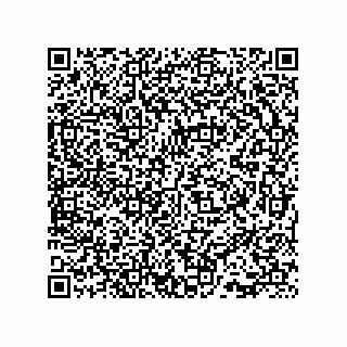vCard 73815133945