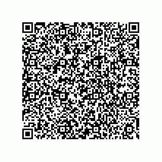 vCard 73815133949